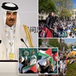Qatar pumps billions into universities to help Muslim Brotherhood weaken US