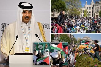 Qatar pumps billions into universities to help Muslim Brotherhood weaken US