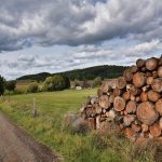 RBC Sees Acquisition Opportunities for West Fraser (WFG) as Wood Products Market Weakens Further