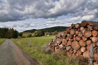 RBC Sees Acquisition Opportunities for West Fraser (WFG) as Wood Products Market Weakens Further