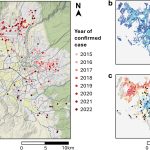 Rabies resurgence in Peru highlights global threats of health inequity