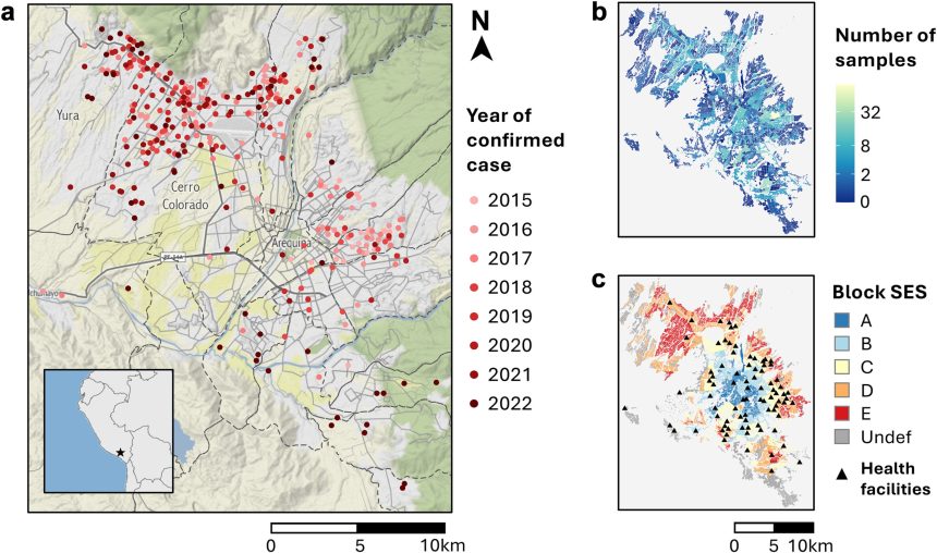 Rabies resurgence in Peru highlights global threats of health inequity