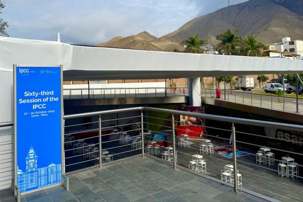 Reflections from the IPCC Plenary in Lima on the Road to COP30