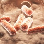 Researchers May Have Discovered a Natural Alternative to Ozempic : ScienceAlert