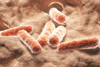 Researchers May Have Discovered a Natural Alternative to Ozempic : ScienceAlert