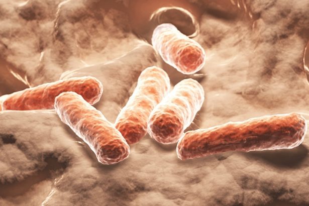 Researchers May Have Discovered a Natural Alternative to Ozempic : ScienceAlert