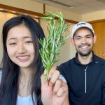 Rosemary compound found to support healthy skin regeneration after injury