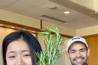 Rosemary compound found to support healthy skin regeneration after injury