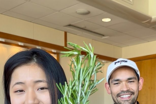 Rosemary compound found to support healthy skin regeneration after injury