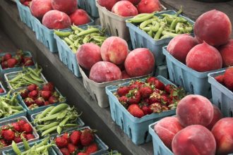 SNAP, Covid lawsuits, weed and alcohol: Morning Rounds