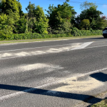 School bus and car collide: One dead, 31 injured, two critical