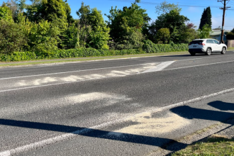 School bus and car collide: One dead, 31 injured, two critical