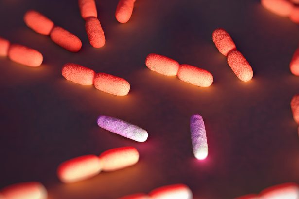 Scientists Are Hacking Bacteria to Fight Cancer, Then Self-Destruct : ScienceAlert