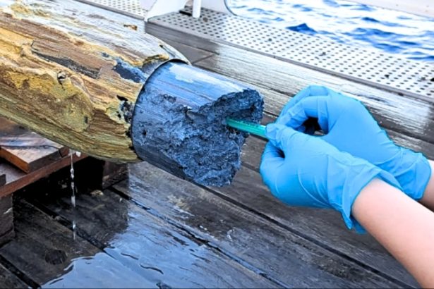 Scientists Discover Mysterious Signs of Life in Bizarre Blue Volcanic Goo : ScienceAlert