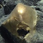 Scientists Found a Mysterious Golden Orb at The Bottom of The Ocean : ScienceAlert
