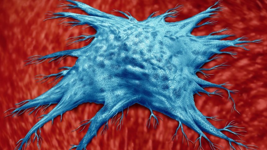 Scientists Have Discovered a Special Type of Immune Cell That Slows Aging : ScienceAlert