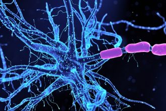 Scientists Identify Neurons Driving Anxiety – And How to Calm Them : ScienceAlert