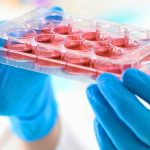 Scientists Restore Aging Blood Stem Cells to a More Youthful State in Mice : ScienceAlert