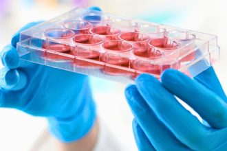 Scientists Restore Aging Blood Stem Cells to a More Youthful State in Mice : ScienceAlert