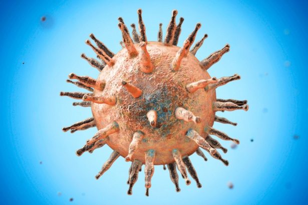 Scientists Trace Lupus to One of The World’s Most Common Viruses : ScienceAlert