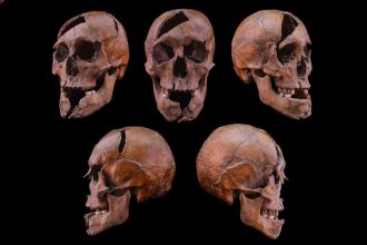 Skeleton with brutal injuries identified as duke assassinated in 1272