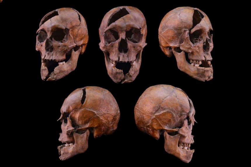 Skeleton with brutal injuries identified as duke assassinated in 1272