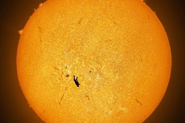 Skydiver Caught Transiting The Sun in ‘Preposterous (But Real)’ Photograph : ScienceAlert