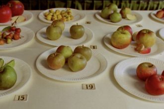 ‘Some Interesting Apples’ Delves into the World of Feral Fruit — Colossal