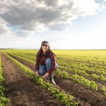 Soybeans Extending Higher on Monday AM Trade