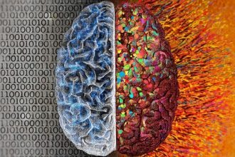 Speaking Multiple Languages May Slow Brain Aging, Study Suggests : ScienceAlert