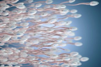 Sperm’s evolutionary origins go back before multicellular animals