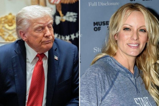 Stormy Daniels Claims Donald Trump Purused Her For A Year