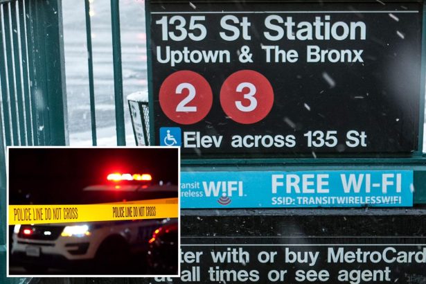 Stranger pushes good Sam into moving NYC train as she tries to settle fight