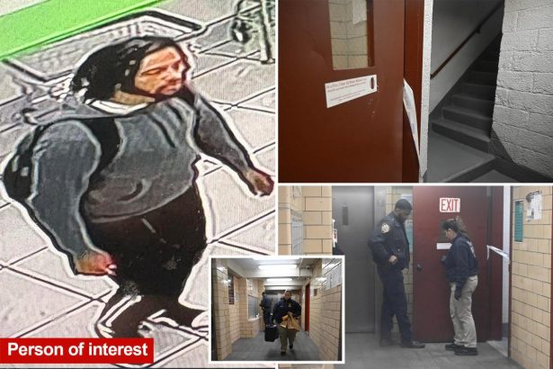 Stranger rapes girl, 12, in NYC public housing stairwell: cops