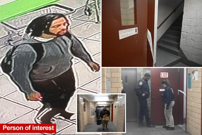 Stranger rapes girl, 12, in NYC public housing stairwell: cops