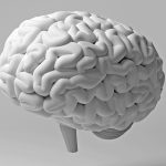 Study Links Gum Disease With White Matter Damage in The Brain : ScienceAlert