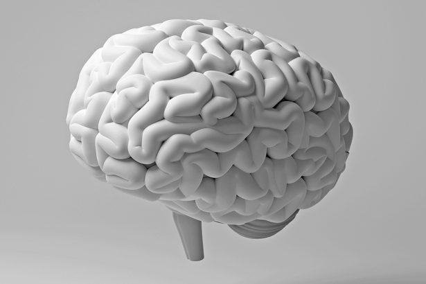 Study Links Gum Disease With White Matter Damage in The Brain : ScienceAlert