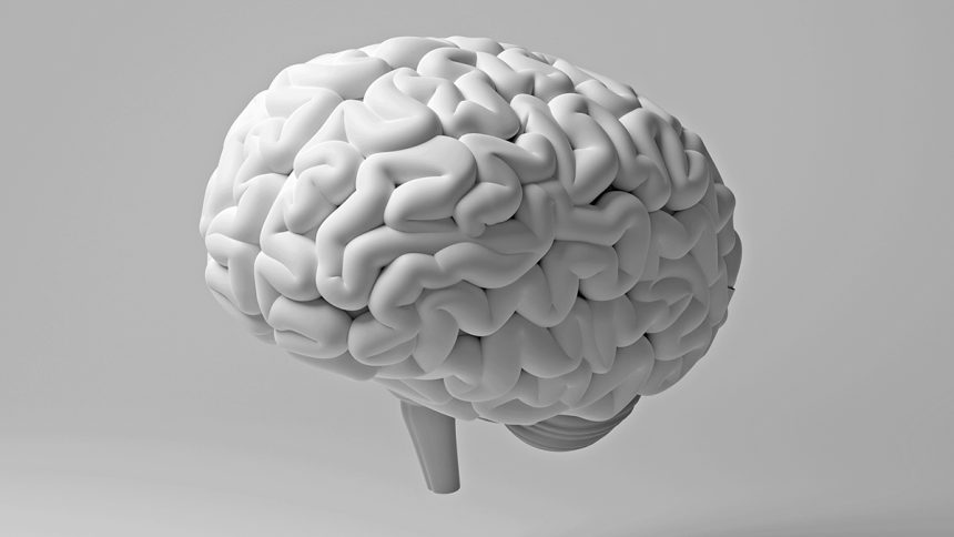 Study Links Gum Disease With White Matter Damage in The Brain : ScienceAlert