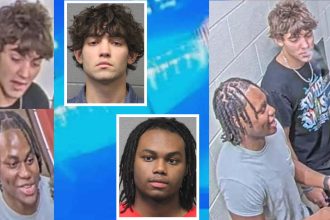 Suburban men used Google Translate to rob Spanish-speaking victim on the Blue Line: prosecutors