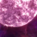 Supermassive dark matter stars may be lurking in the early universe