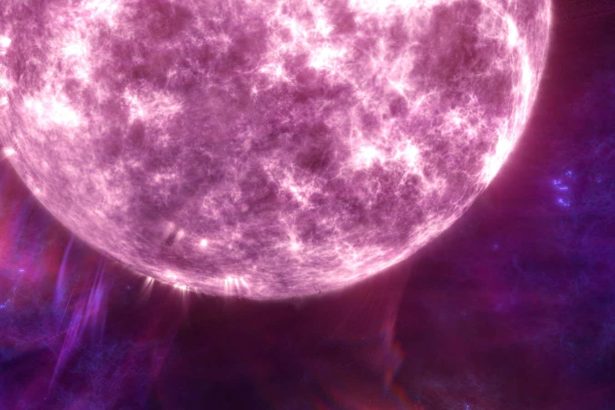 Supermassive dark matter stars may be lurking in the early universe