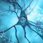 Supplement For High Blood Pressure Clears Signs of Alzheimer’s in Mice : ScienceAlert