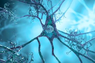 Supplement For High Blood Pressure Clears Signs of Alzheimer’s in Mice : ScienceAlert