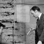 Surprising new biography of Francis Crick unravels the story of DNA