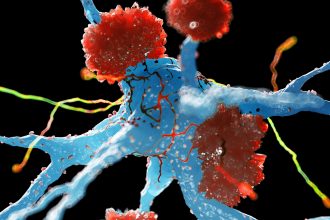 Switch Turns Brain’s Defenses Into Protectors Against Alzheimer’s : ScienceAlert