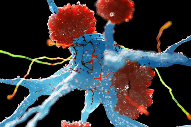 Switch Turns Brain’s Defenses Into Protectors Against Alzheimer’s : ScienceAlert