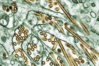 Symptom-free H5N1 infection in humans: Evidence remains scarce