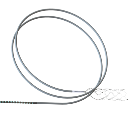 Synchron’s 0 Million Signals Revolution By Evolution