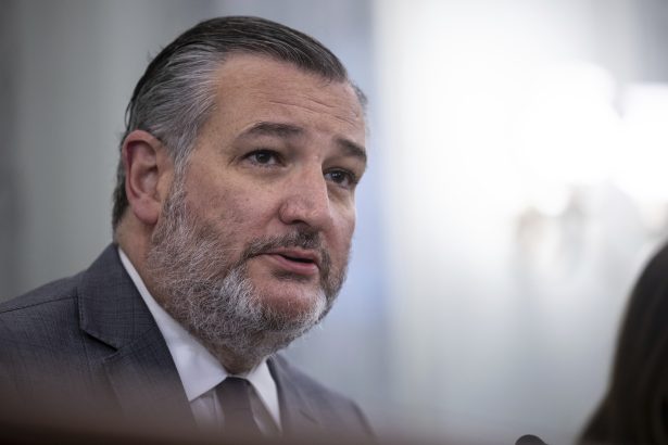 Ted Cruz accuses GOP senators of being ‘frightened’ to call out Tucker Carlson