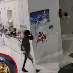 Tekashi 6ix9ine’s Mom, Pup Manhandled by Burglars in Home-Invasion Video